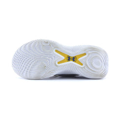 UNDER ARMOUR CURRY FLOW 10