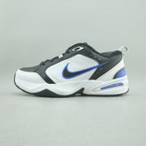 NIKE AIR MONARCH IV