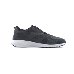 EVOLUTION .