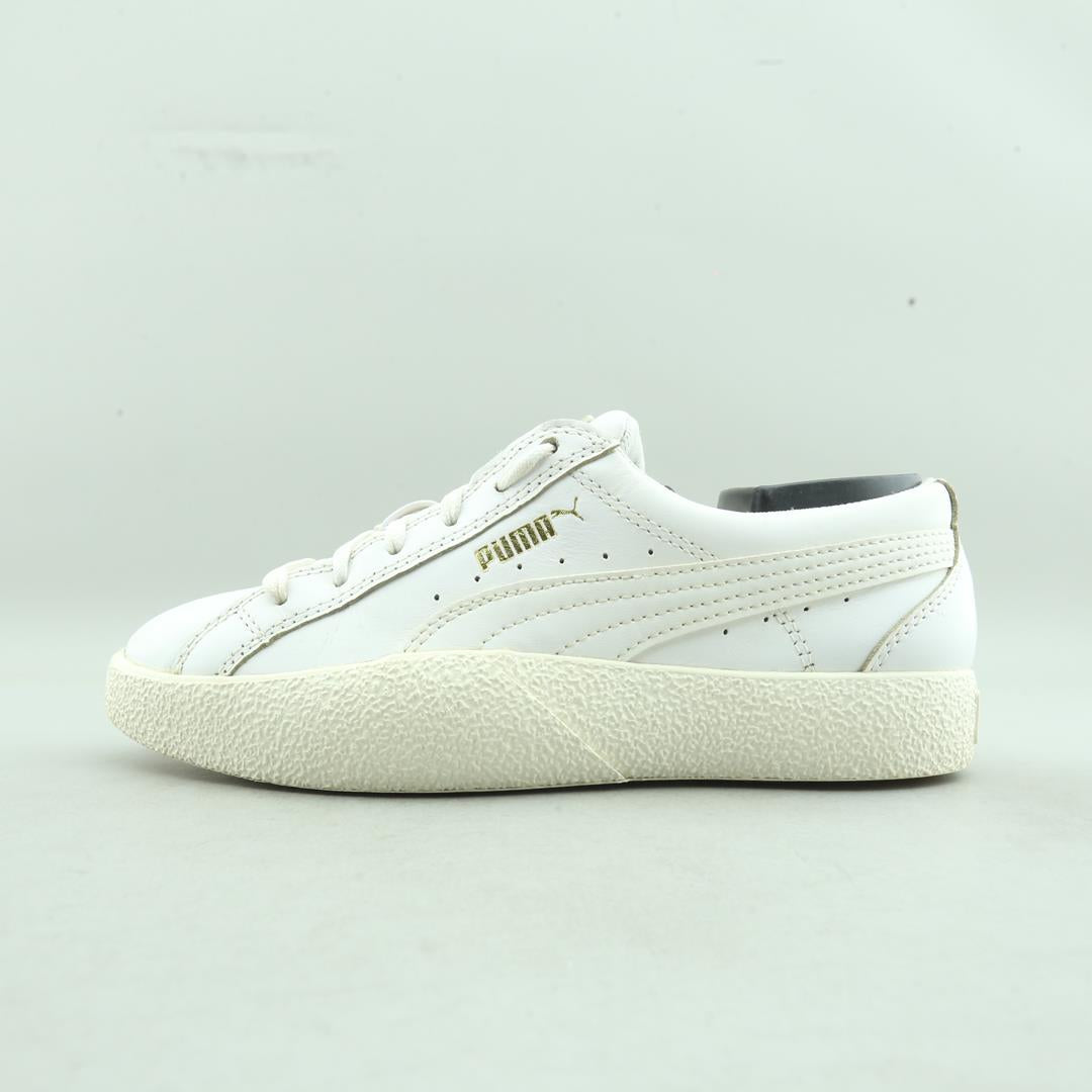 PUMA  BIRDS OF PREY X